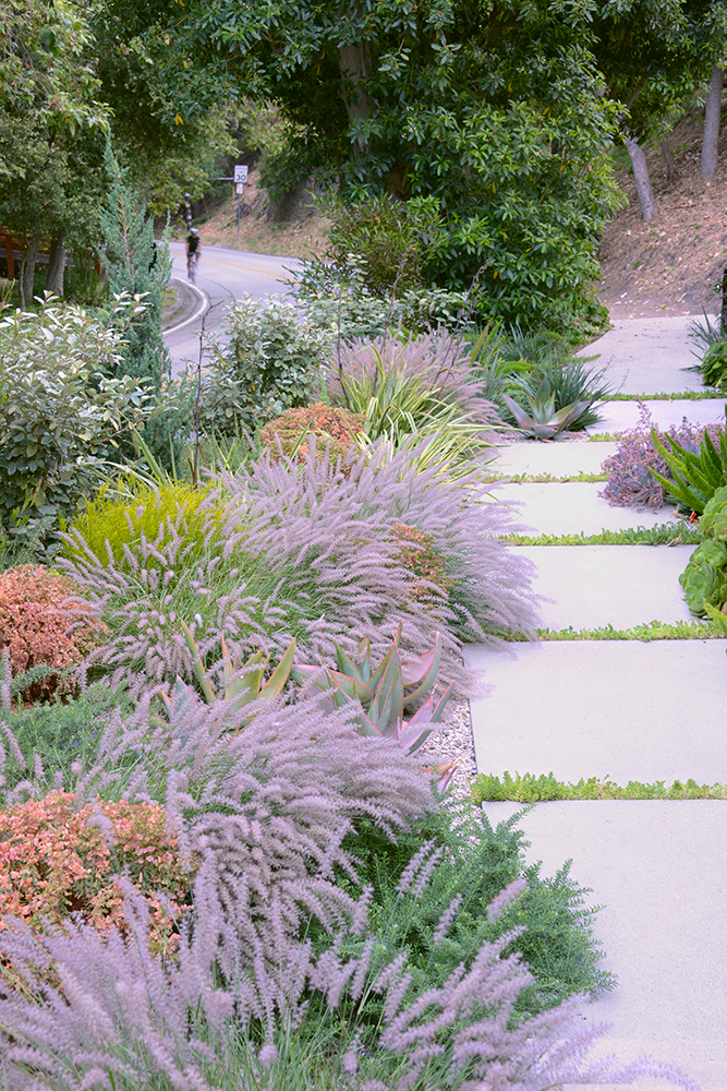 The Beauty of Front Yards: An Invitation to Curb Appeal