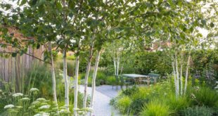 garden design trees