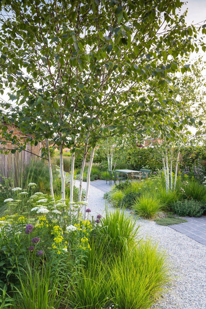 The Beauty of Trees in Garden Design