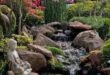 garden pond