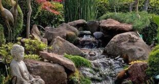 garden pond