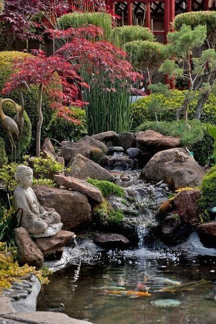 Creating a Tranquil Oasis: The Beauty of a Garden Pond