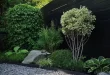 landscaping backyard ideas