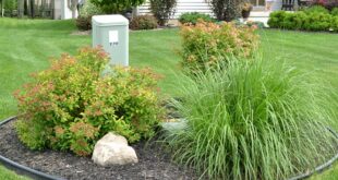 landscaping to hide utility boxes