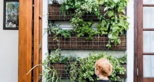 vertical gardening