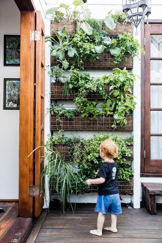 Reaching New Heights: The Beauty and Benefits of Vertical Gardening