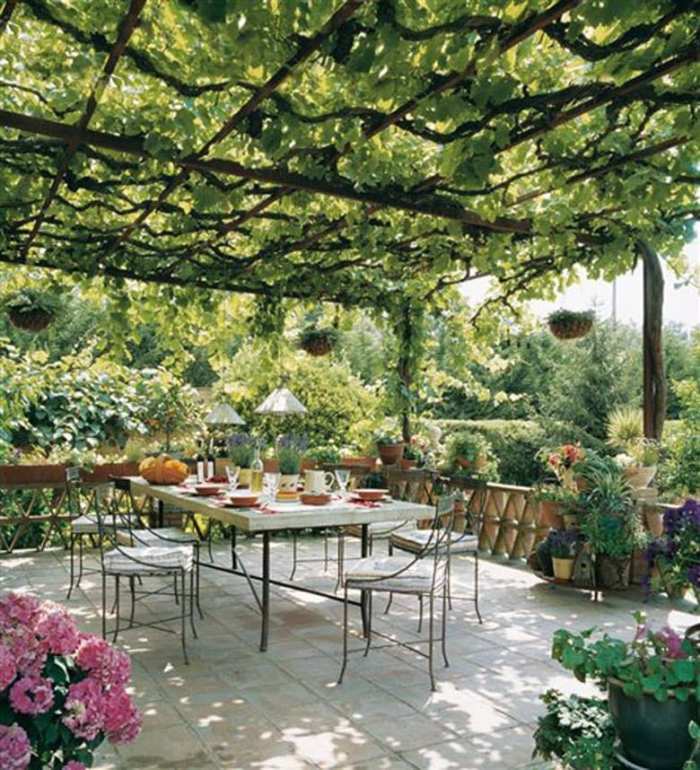 Enhance Your Outdoor Space with a Backyard Canopy