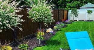 backyard ideas low maintenance