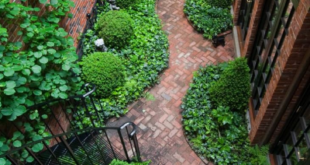 garden paths and walkways