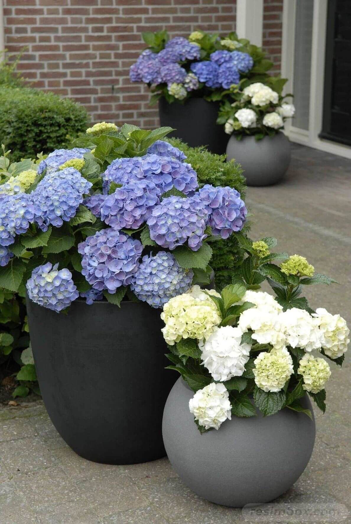 Creative Garden Planter Ideas for Your Outdoor Space