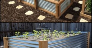 raised bed gardens