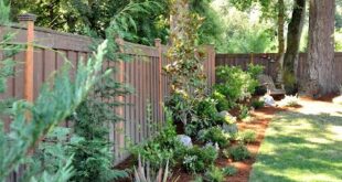 simple backyard landscaping along fence