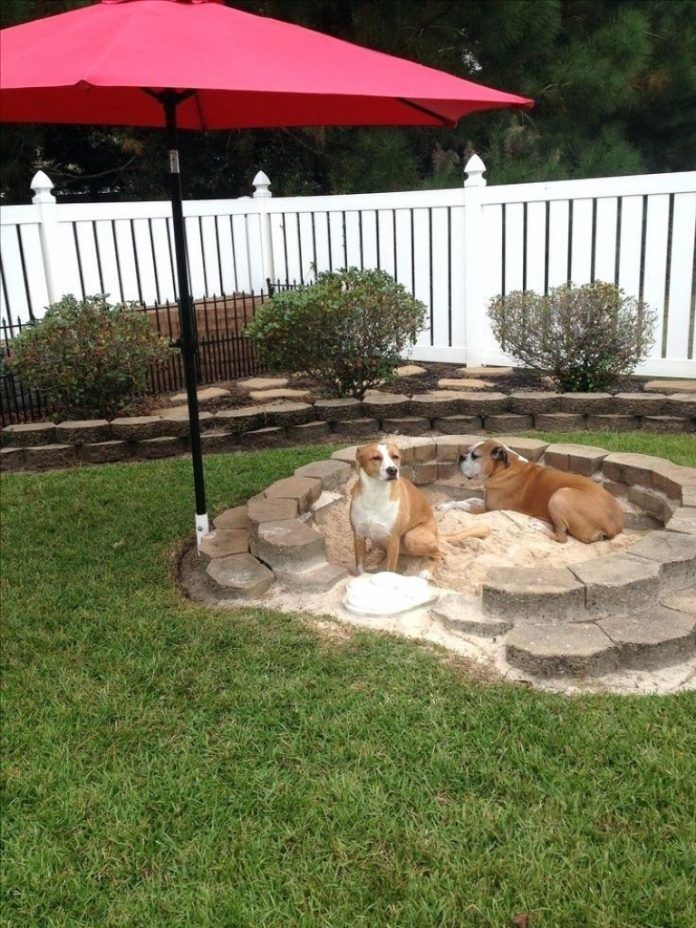 Creating a Dog-Friendly Oasis in Your Backyard