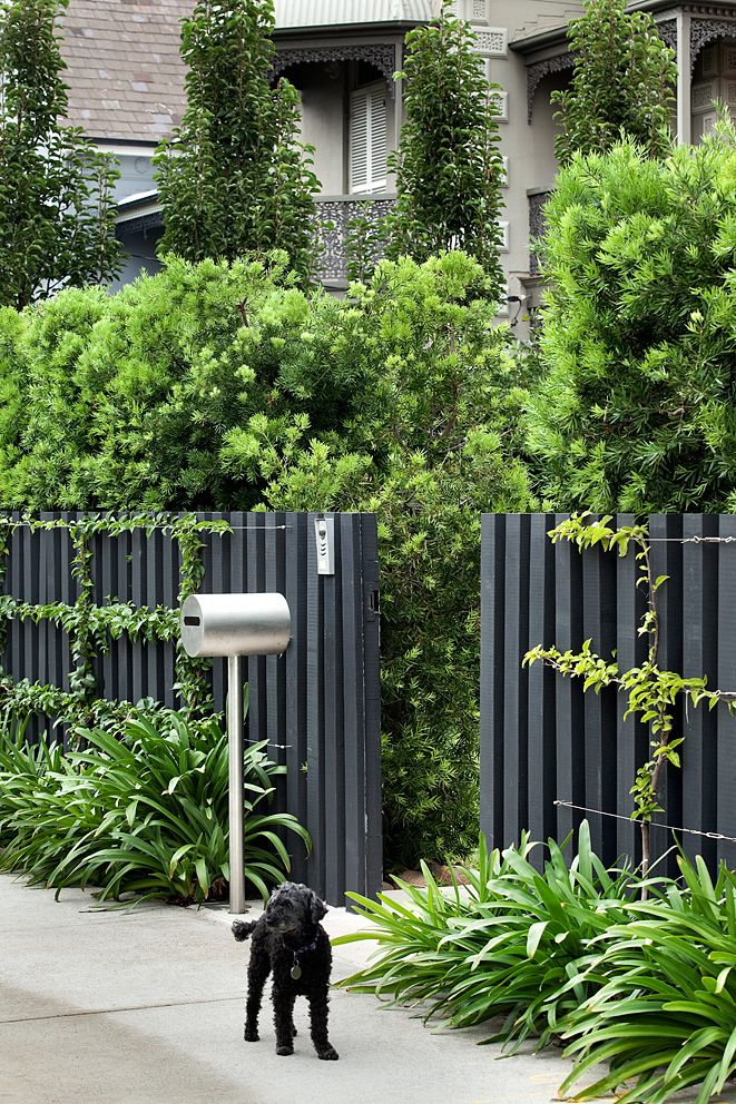 The Beauty and Functionality of Front Yard Fences