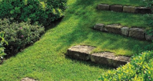 garden design on a slope