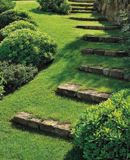 Creating a Beautiful Garden on a Sloping Terrain