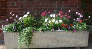 garden planter troughs