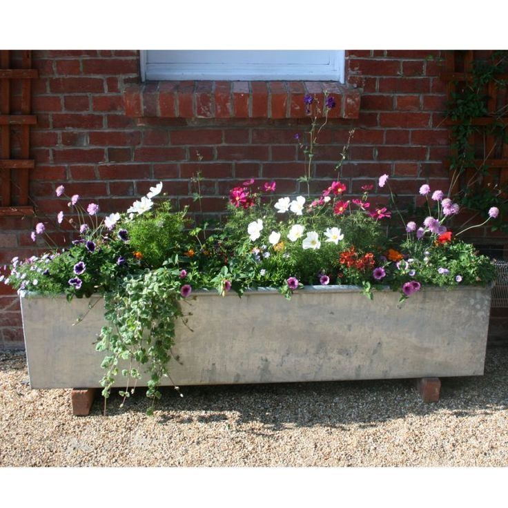 Exploring the Beauty of Garden Planter Troughs