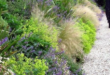 landscaping on a slope