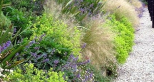 landscaping on a slope