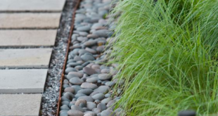 landscaping with ornamental grasses