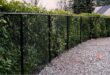 chain link fence ideas