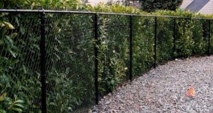 chain link fence ideas