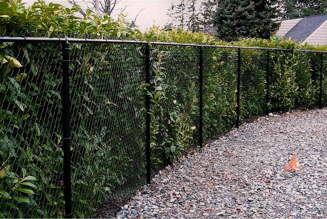 Creative Chain Link Fence Design Inspirations