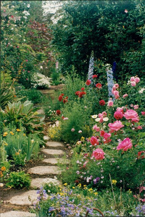 Creating a Beautiful Flower Garden: Tips for Designing Your Outdoor Oasis