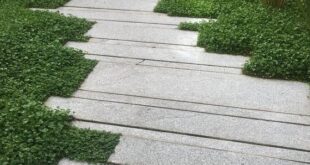 garden paving