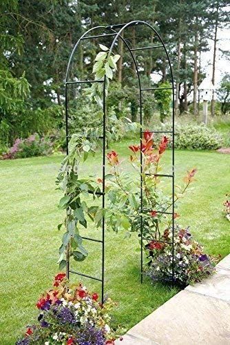 Enhance Your Garden with Stunning Metal Garden Arches