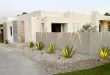 desert landscaping front yard