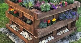 garden diy ideas