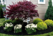 landscaping in front of porch