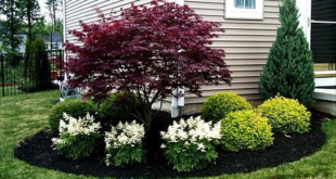 landscaping in front of porch