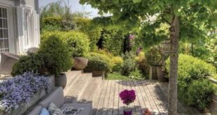 modern garden ideas