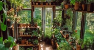 small garden greenhouse ideas