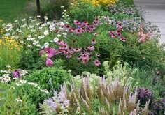 xeriscape front yard