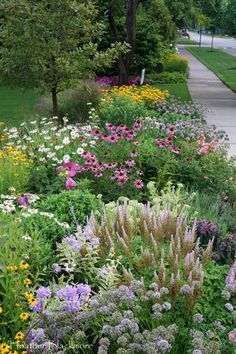 xeriscape front yard