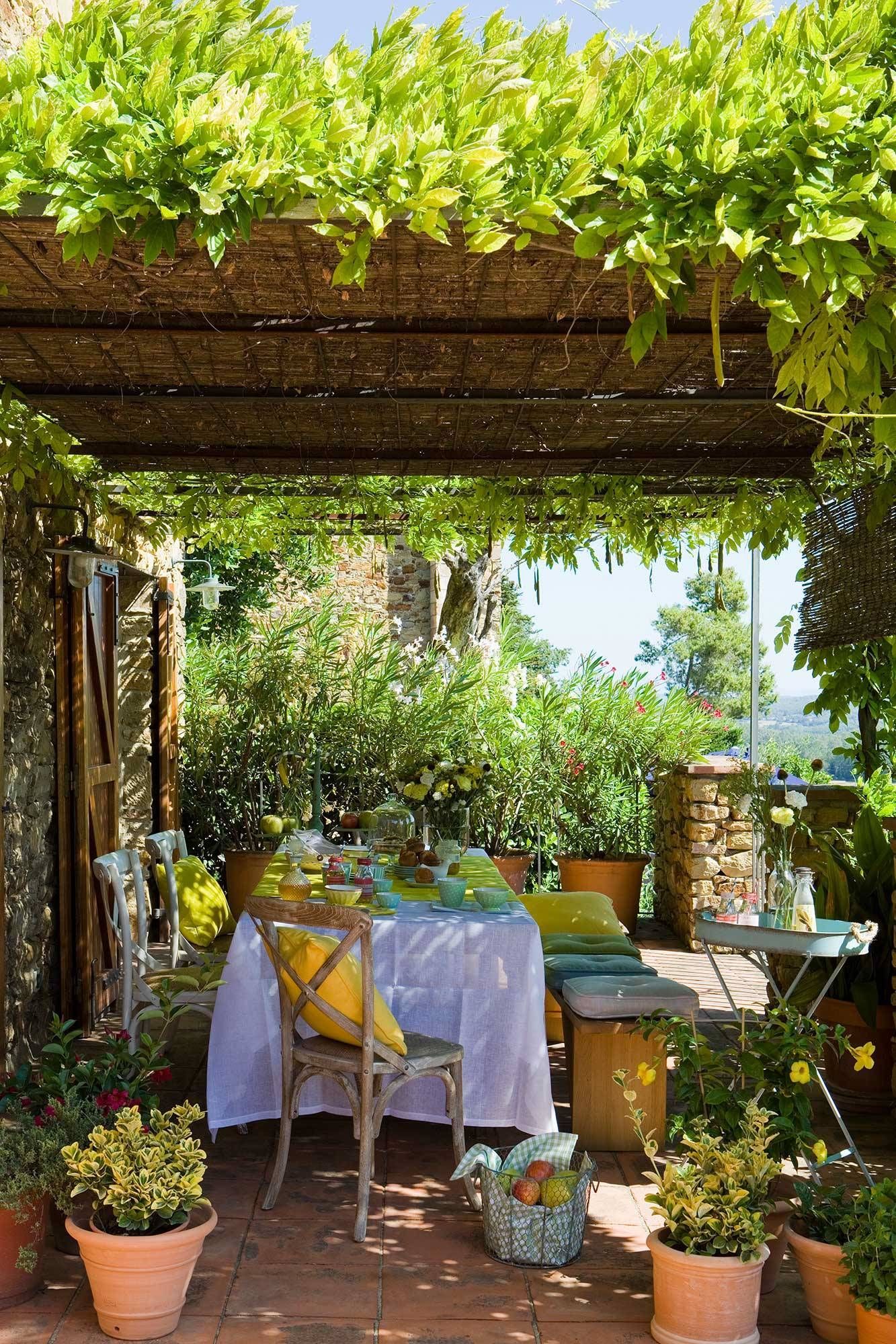 Enhance Your Outdoor Space with a Beautiful Garden Pergola