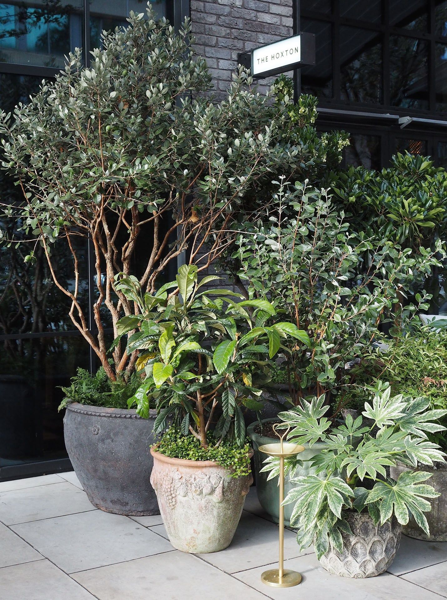 The Beauty of Garden Planter Pots: Enhancing Your Outdoor Space