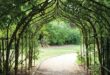 metal garden arches