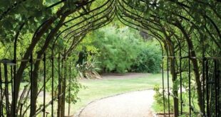 metal garden arches