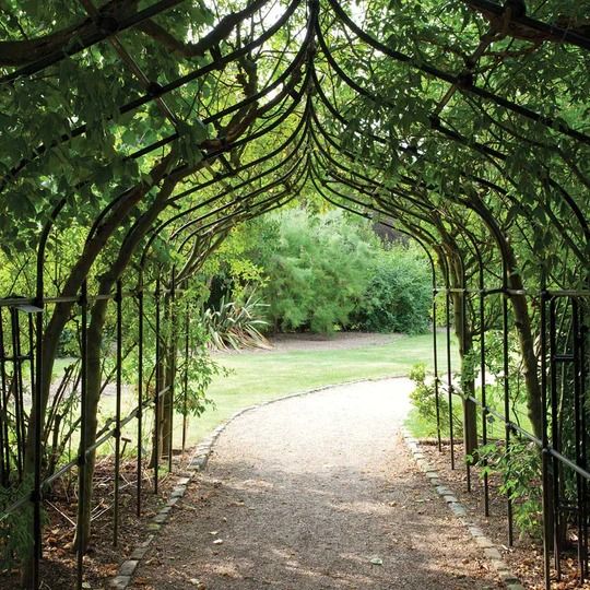 Enhance Your Garden with Elegant Metal Garden Arches