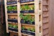 small garden ideas on a budget