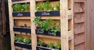 small garden ideas on a budget