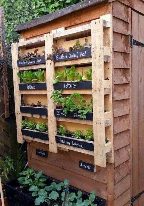 Creative Ways to Transform Your Small Garden Without Breaking the Bank