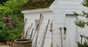 wooden garden sheds