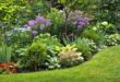 garden design borders