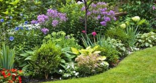 garden design borders